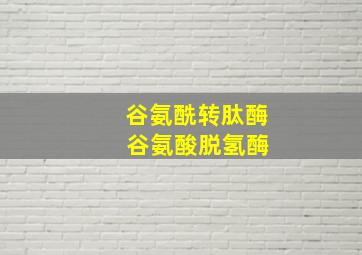 谷氨酰转肽酶 谷氨酸脱氢酶